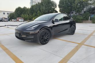 特斯拉 Model Y 2021款 标准续航后驱版