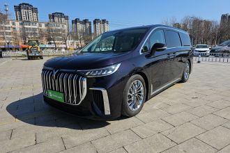 岚图汽车 岚图梦想家 2024款 PHEV 超长续航旗舰版