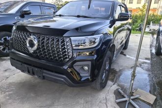 长城 炮 2023款 2.0T商用版自动柴油四驱精英型长箱GW4D20M