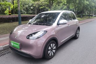 五菱汽车 五菱缤果 2023款 333km 悦享款