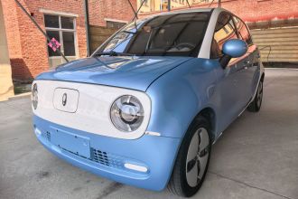 欧拉黑猫 2022款 301km 萌宠版 磷酸铁锂