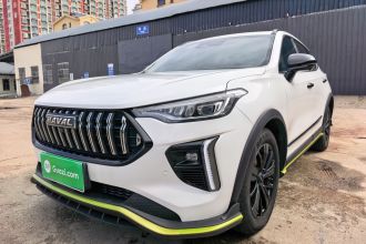 哈弗赤兔 2021款 激擎版 1.5T 黄金兔
