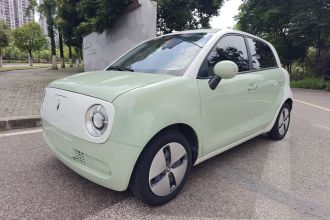 欧拉黑猫 2022款 301km 萌宠版 磷酸铁锂