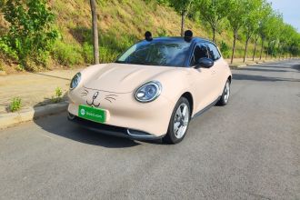欧拉好猫 2021款 400km标准续航 维纳斯版 三元锂
