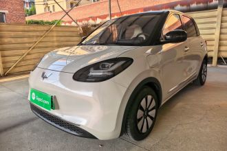 五菱汽车 五菱缤果 2023款 333km 悦享+款