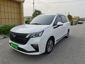 五菱汽车 五菱佳辰 2022款 1.5L 手动乐享精英型