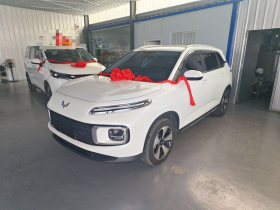 五菱汽车 五菱星云 2023款 2.0L DHT 标准版