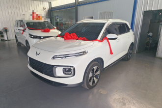 五菱汽车 五菱星云 2023款 2.0L DHT 标准版