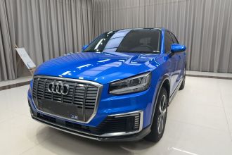 奥迪Q2L e-tron 2019款 Q2L e-tron 纯电智享型