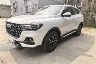 哈弗H6 2025款 1.5T 国潮都市版