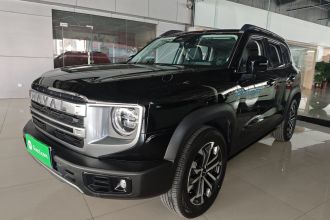 哈弗大狗 2024款 1.5T DCT边牧版