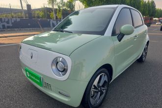 欧拉黑猫 2022款 351km 豪华型 三元锂