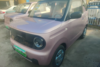 吉利银河 2024款 熊猫mini 200km 耐力熊