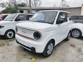吉利银河 2024款 熊猫mini 200km 耐力熊