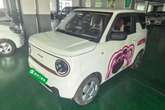 吉利银河 2024款 熊猫mini 200km 耐力熊