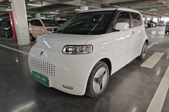 欧拉白猫 2020款 360km 豪华型