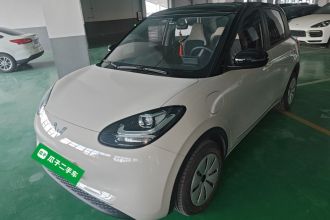 五菱汽车 五菱缤果 2024款 203km 轻享款