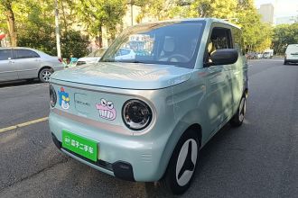 吉利银河 2023款 熊猫mini 200km 灵动熊