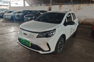 吉利几何 EX3 功夫牛 2021款 坚强牛牛