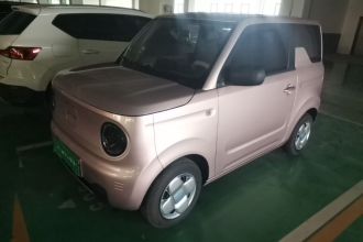 吉利银河 2023款 熊猫mini 200km 耐力熊