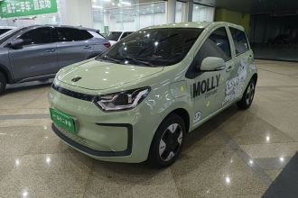 思皓 花仙子 2023款 周年款 200km 薰衣草 30kW