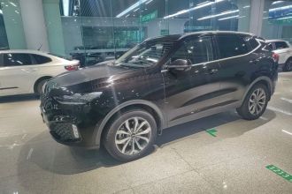 魏牌 VV6 2020款 2.0T 两驱智护+