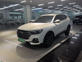 哈弗H6 2021款 国潮版 1.5T 自动都市版