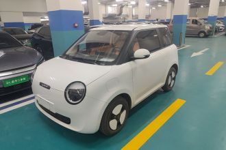 长安启源 长安Lumin 2022款 301km 蜜甜款