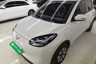 五菱汽车 五菱缤果 2023款 333km 悦享+款