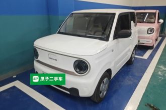 吉利银河 2023款 熊猫mini 200km 耐力熊
