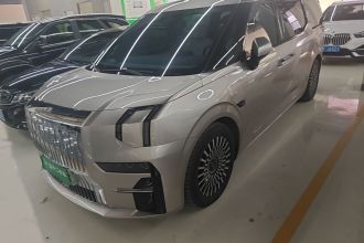 极氪009 2022款 WE版