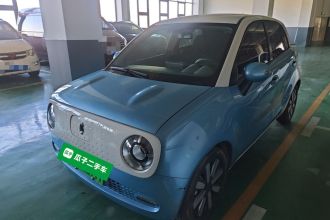 欧拉黑猫 2019款 351km 亲子版