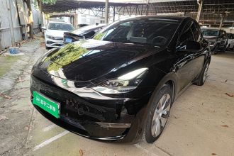 特斯拉 Model Y 2021款 标准续航后驱版