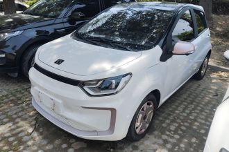 思皓 2022款 花仙子款 向日葵