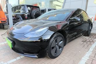 特斯拉 Model 3 2021款 标准续航后驱升级版