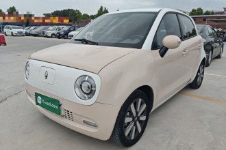欧拉黑猫 2022款 351km 标准型 三元锂