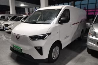 五菱汽车 五菱扬光 2024款 300km 舒适型封窗版 75kW