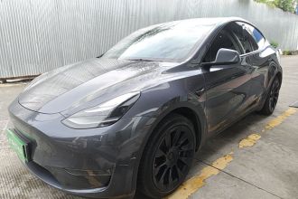 特斯拉 Model Y 2021款 长续航全轮驱动版