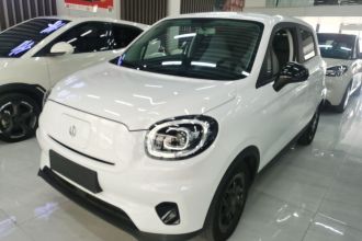 零跑汽车 零跑T03 2023款 310轻享版
