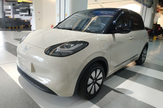 五菱汽车 五菱缤果 2024款 333km 悦享款