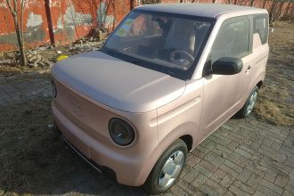 吉利银河 2024款 熊猫mini 200km 耐力熊