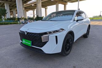 启辰大V 2021款 260T 爱豆版