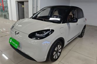 五菱汽车 五菱缤果 2024款 333km 悦享款