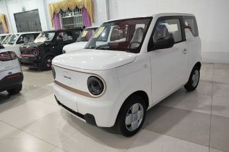 吉利银河 2024款 熊猫mini 200km 耐力熊