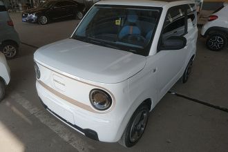 吉利银河 2023款 熊猫mini 200km 灵动熊