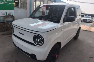 吉利银河 2024款 熊猫mini 200km 耐力熊