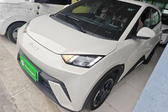 比亚迪 海鸥 2024款 荣耀版 305km 自由版