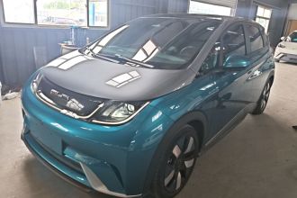 比亚迪 海豚 2021款 401km 骑士版