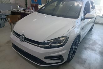 大众 高尔夫 2019款 280TSI DSG R-Line型 国V