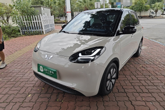 五菱汽车 五菱缤果 2023款 333km 悦享+款